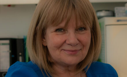 Liz Healy